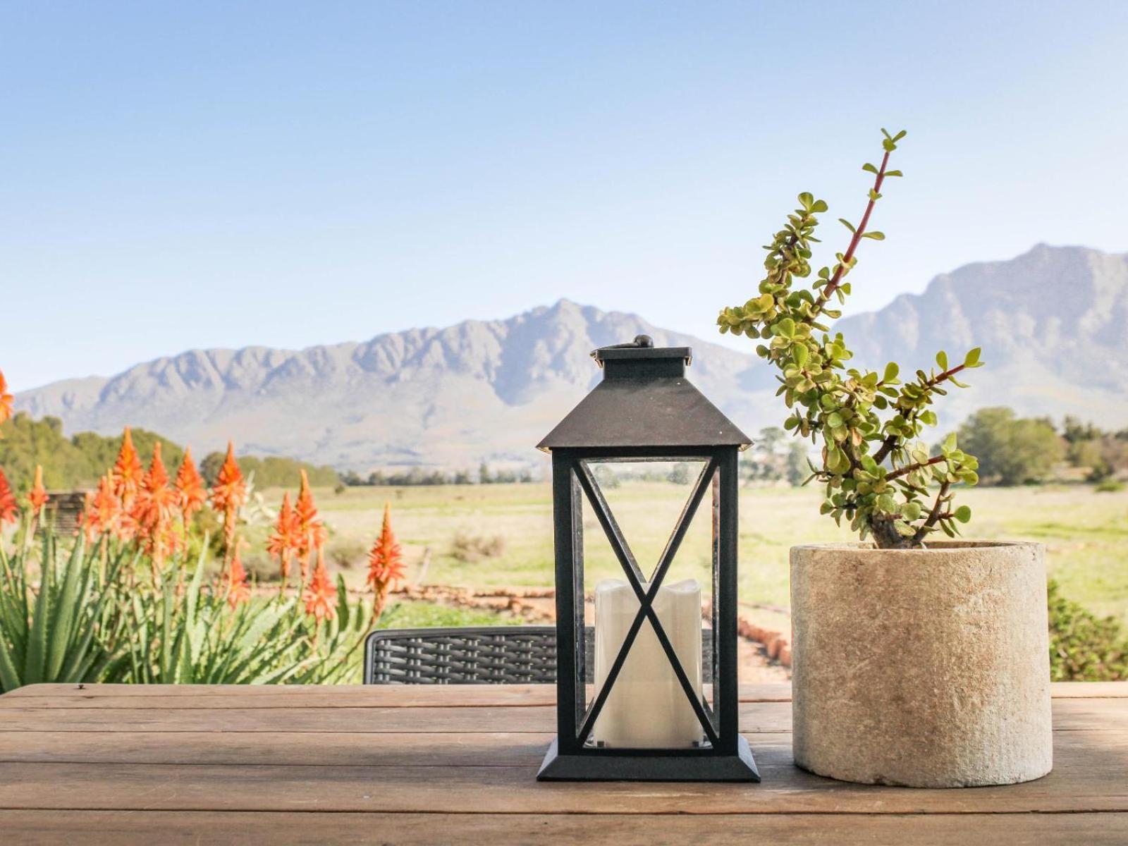 Duikersdrift Winelands Country Escape 호텔 툴바흐 외부 사진